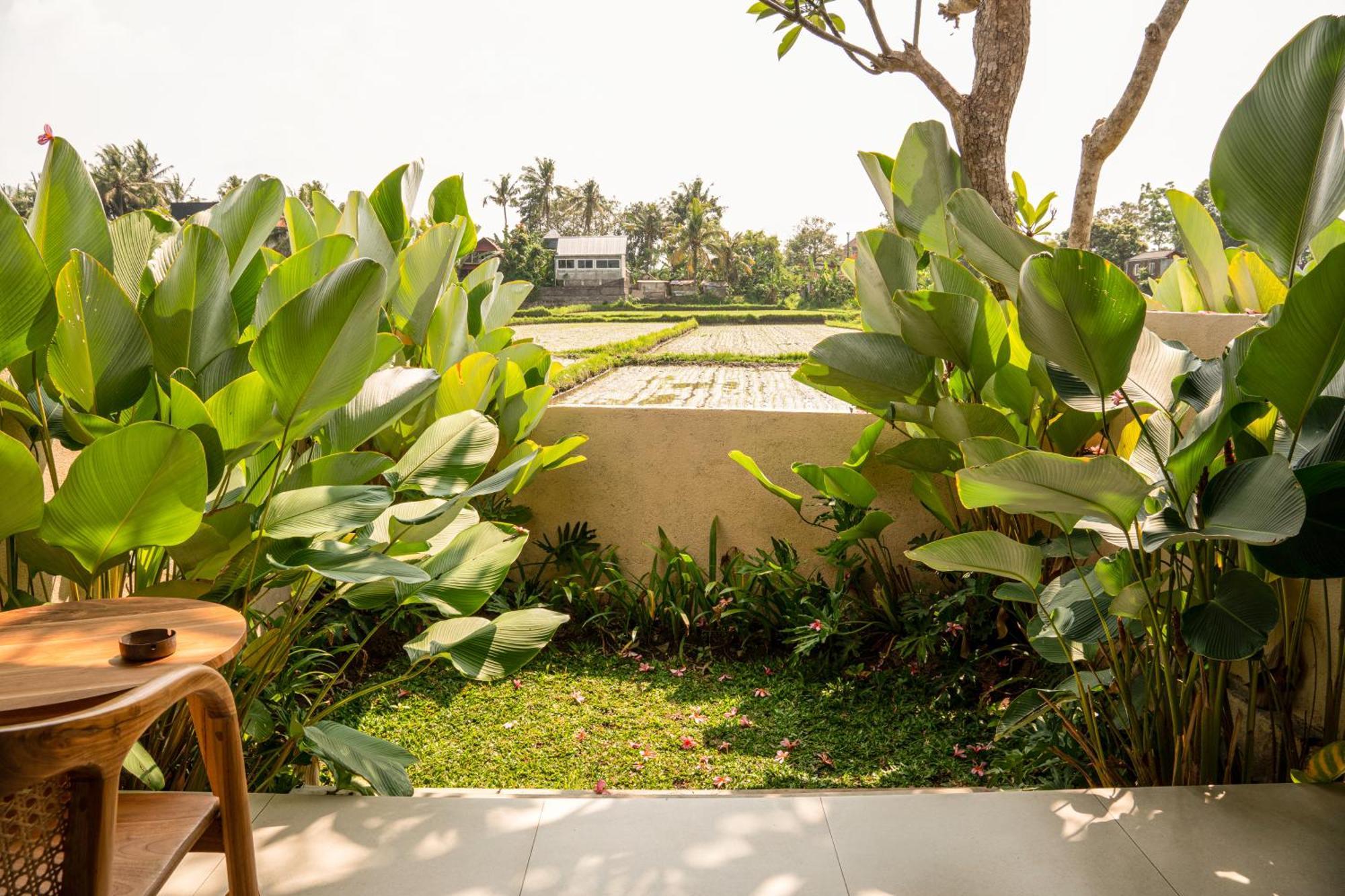 Tut Winten Villa Ubud Eksteriør billede